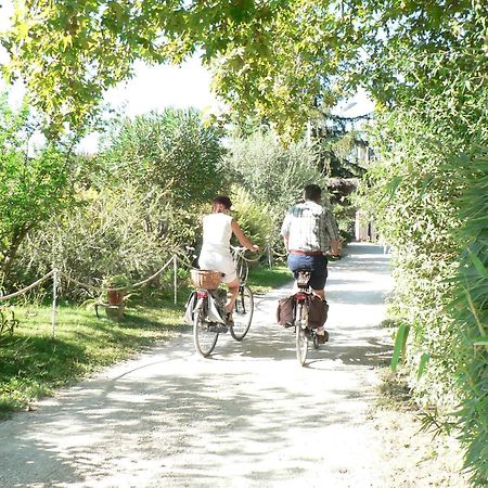 International Glamping Lago Di Bracciano Trevignano Romano Kültér fotó