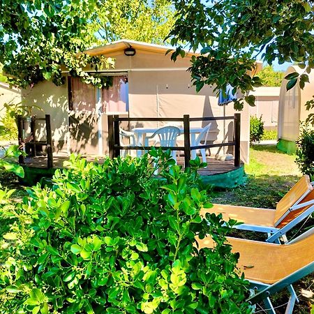 International Glamping Lago Di Bracciano Trevignano Romano Kültér fotó