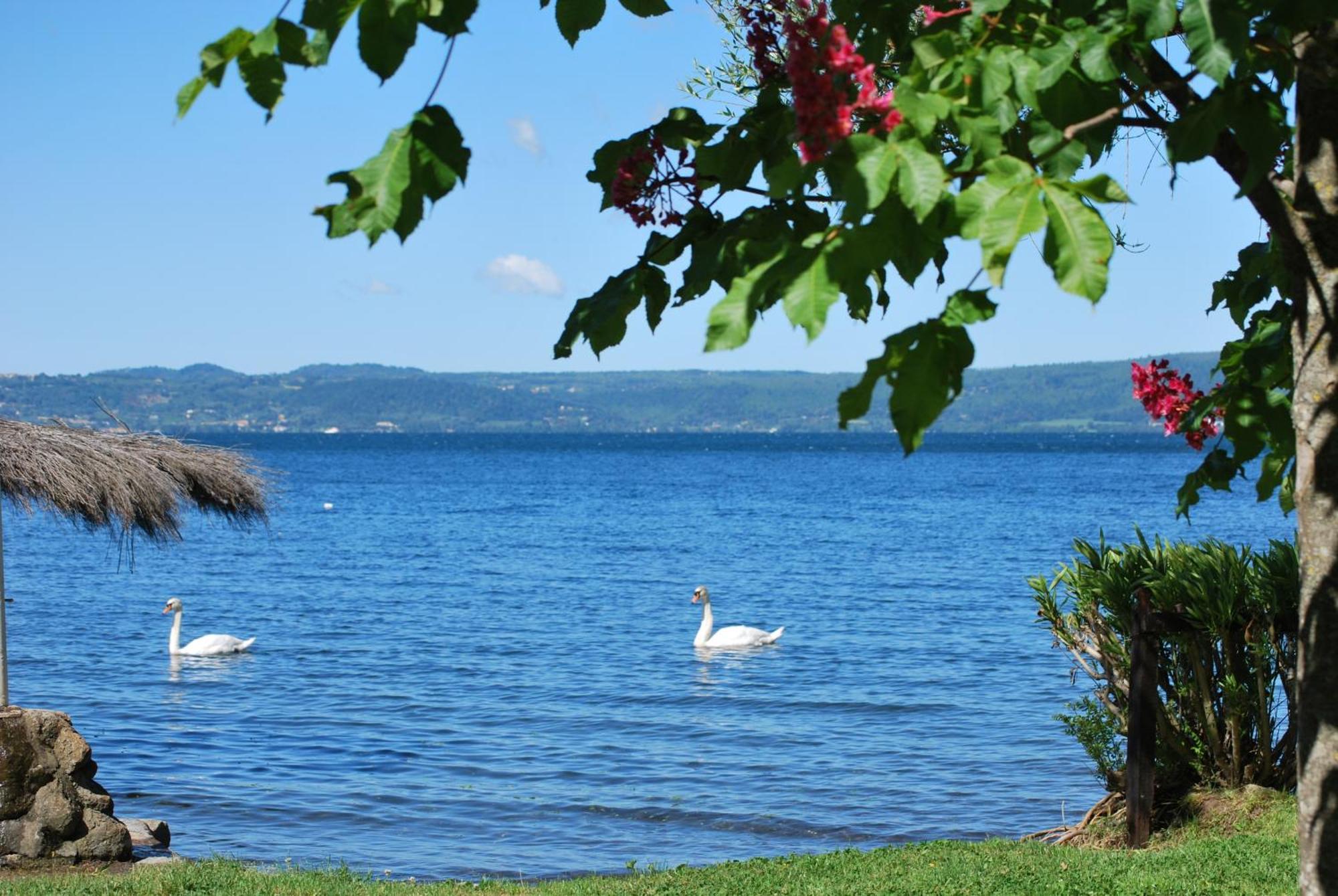 International Glamping Lago Di Bracciano Trevignano Romano Kültér fotó