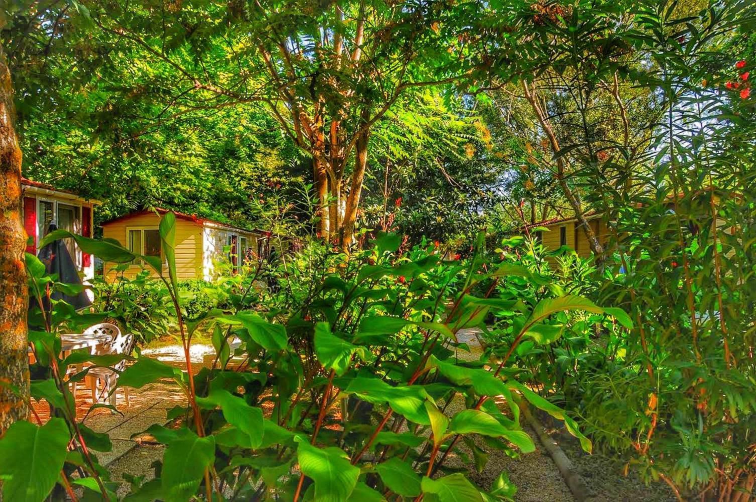 International Glamping Lago Di Bracciano Trevignano Romano Kültér fotó