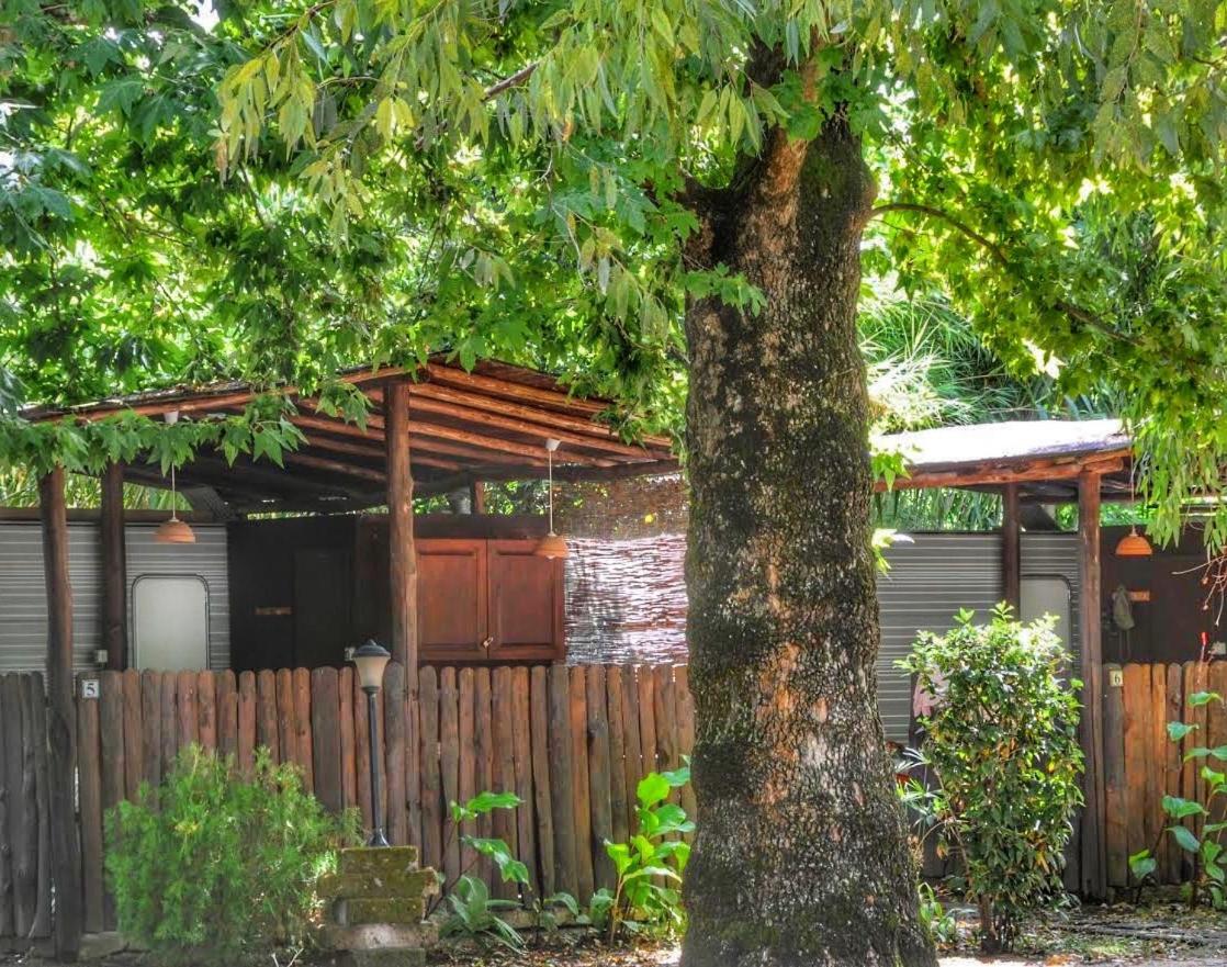 International Glamping Lago Di Bracciano Trevignano Romano Kültér fotó