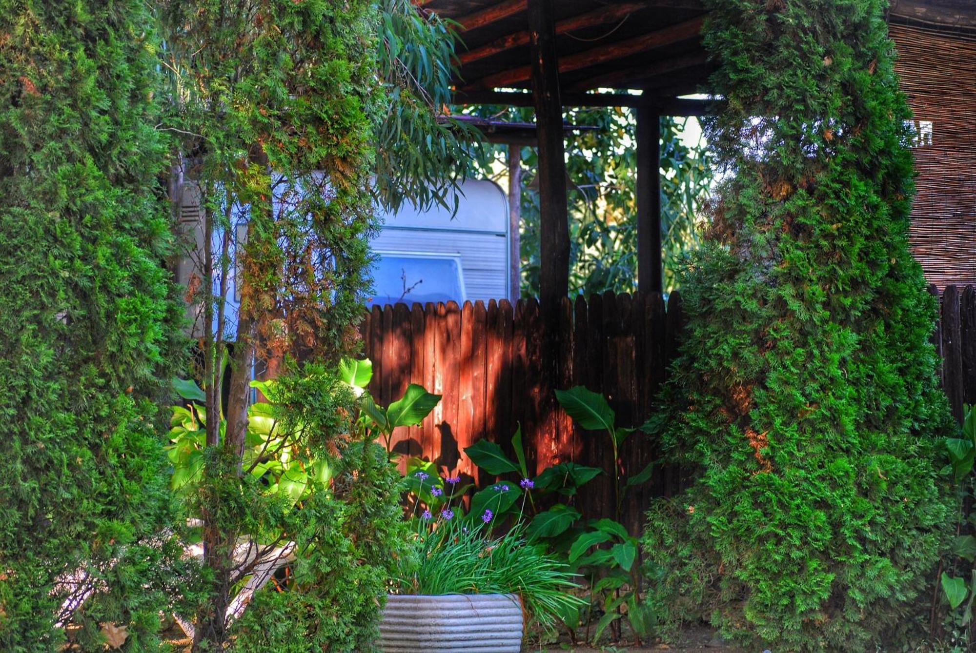 International Glamping Lago Di Bracciano Trevignano Romano Kültér fotó
