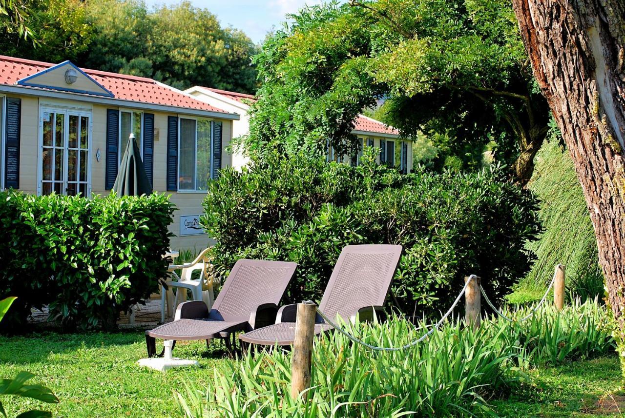 International Glamping Lago Di Bracciano Trevignano Romano Kültér fotó