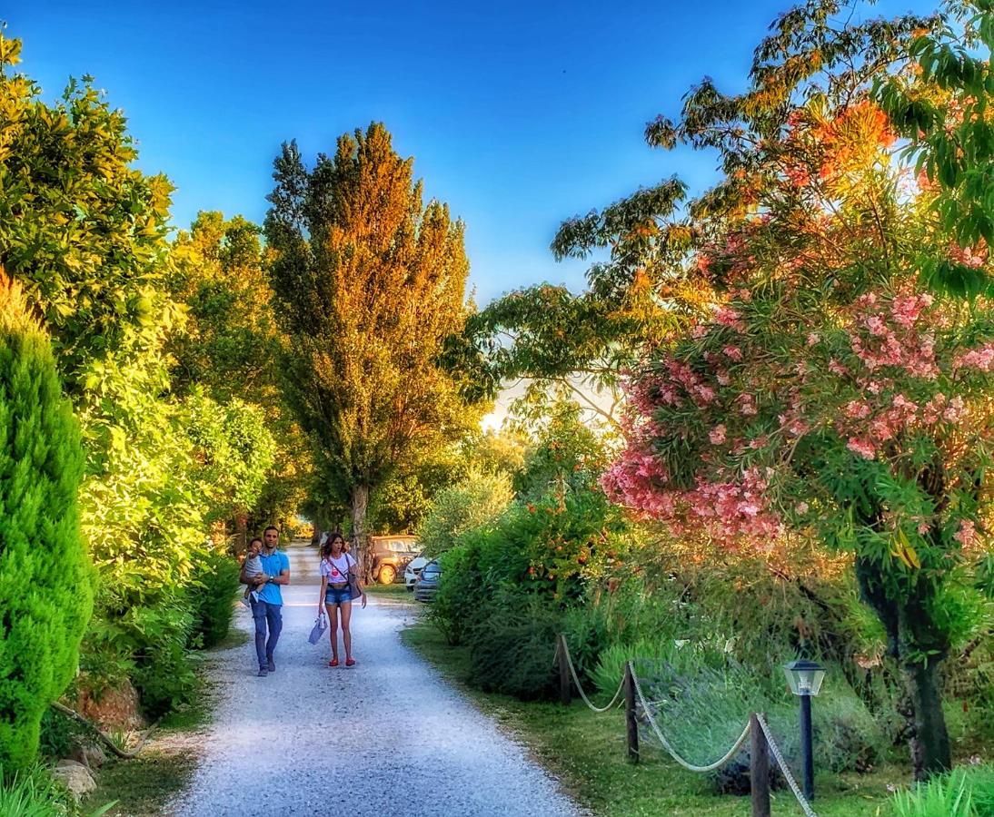 International Glamping Lago Di Bracciano Trevignano Romano Kültér fotó