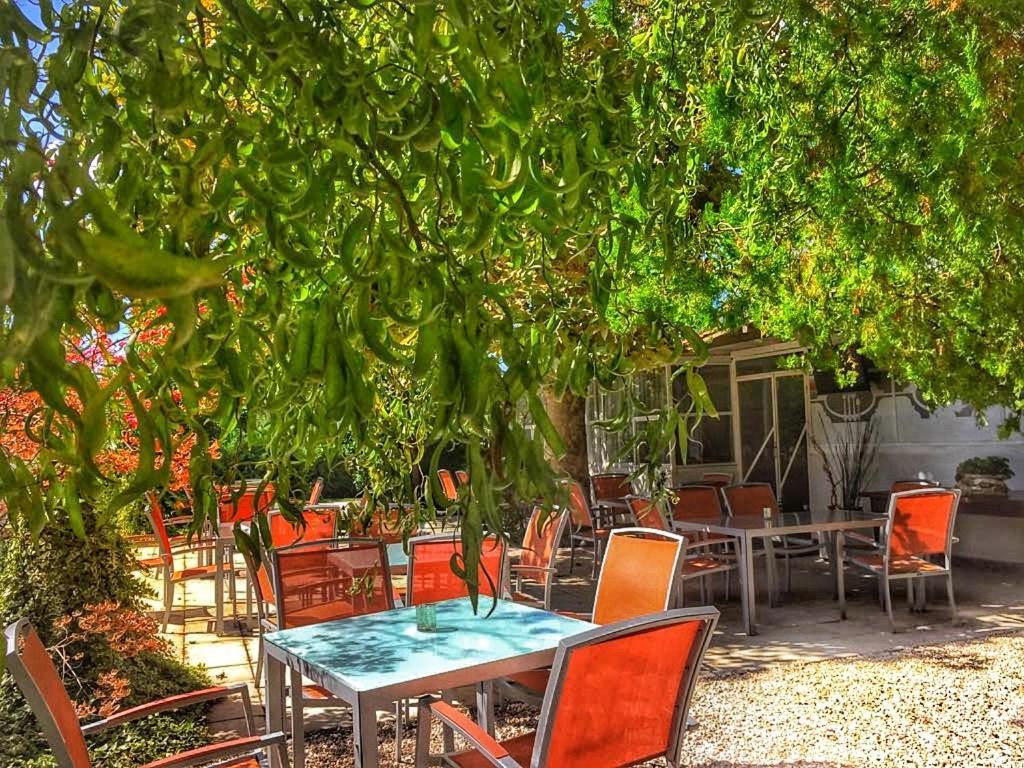International Glamping Lago Di Bracciano Trevignano Romano Kültér fotó